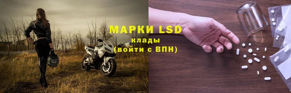 ПСИЛОЦИБИНОВЫЕ ГРИБЫ Михайловск