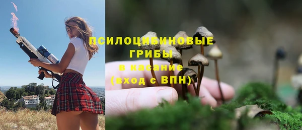 ПСИЛОЦИБИНОВЫЕ ГРИБЫ Горняк