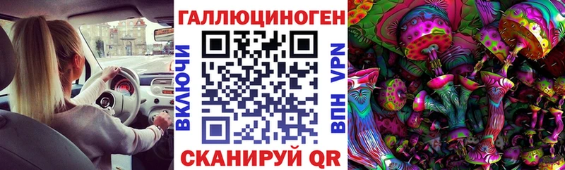 купить   Кувшиново  Псилоцибиновые грибы Magic Shrooms 